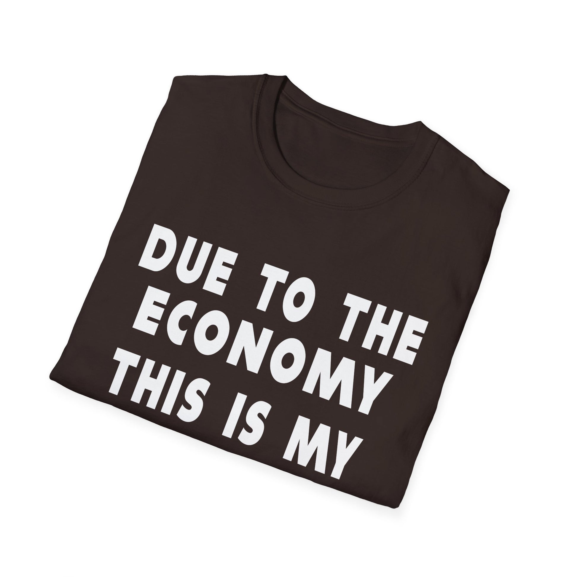 Halloween T-Shirt — "Due to the Economy This Is My Halloween Costume" Funny Casual Tee
