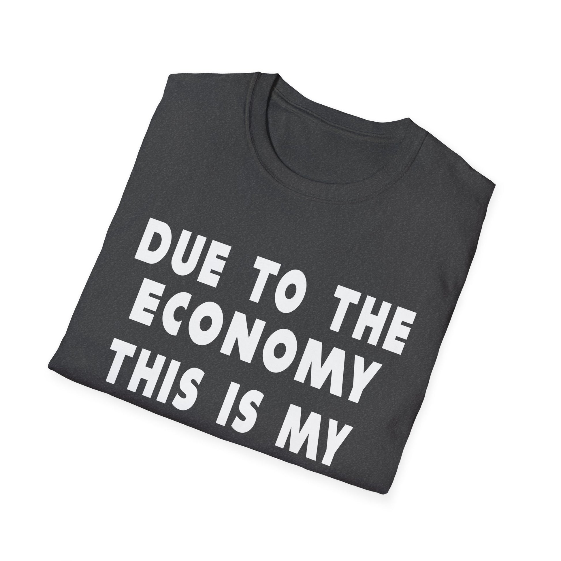 Halloween T-Shirt — "Due to the Economy This Is My Halloween Costume" Funny Casual Tee