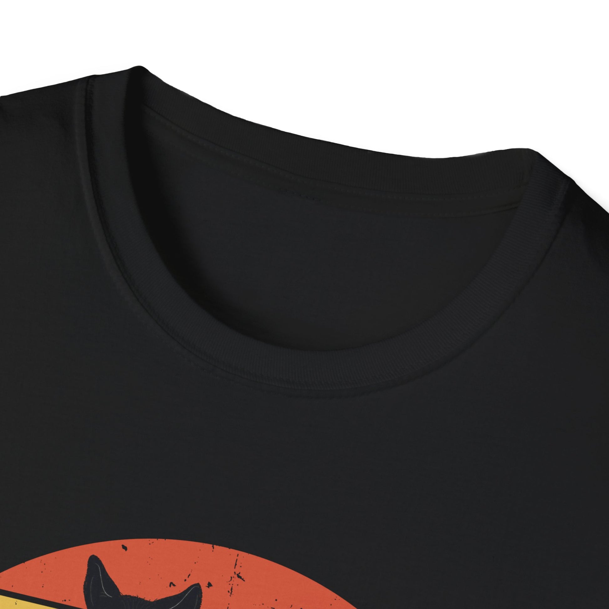 Black Cat sitting in a Pumpkin for Cat Lover - Halloween T-Shirt