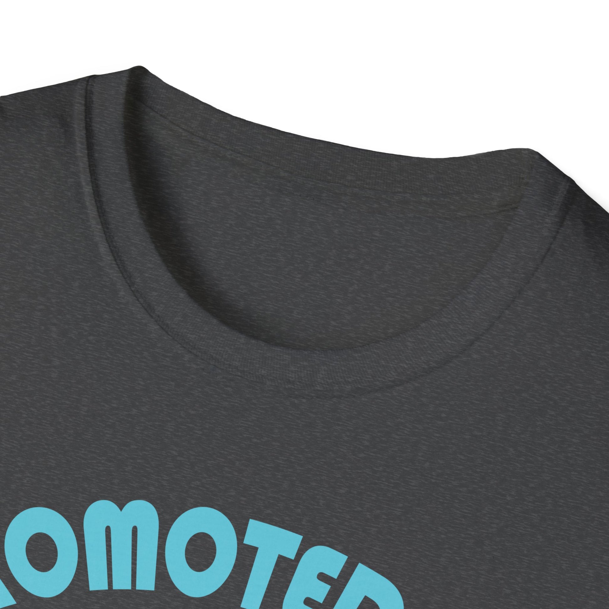 Promoted to Grandpa Est. 2025 T-Shirt — New Grandpa Announcement Tee