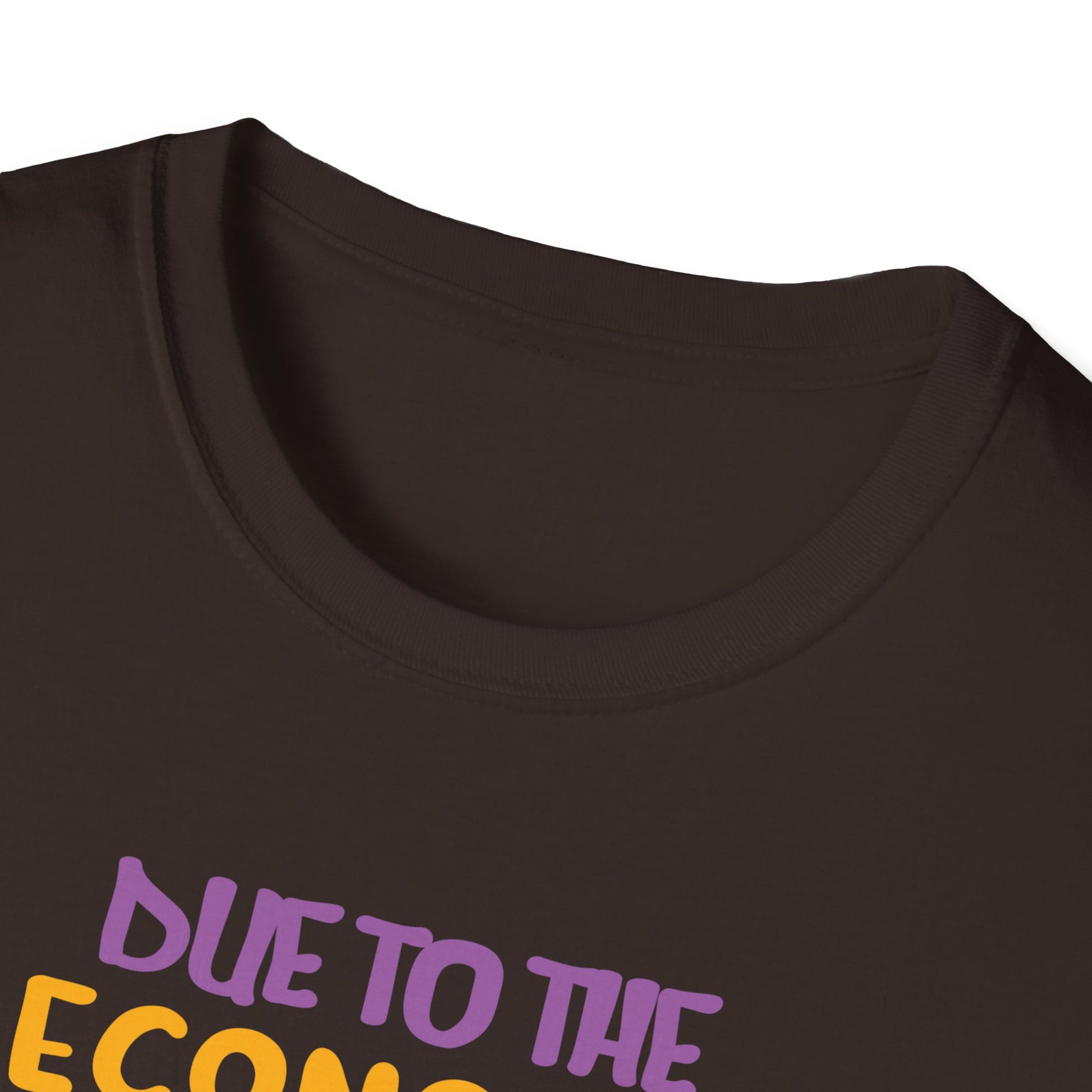Halloween T-Shirt — “Due to the Economy This Is My Halloween Costume” Pumpkin Witch Tee