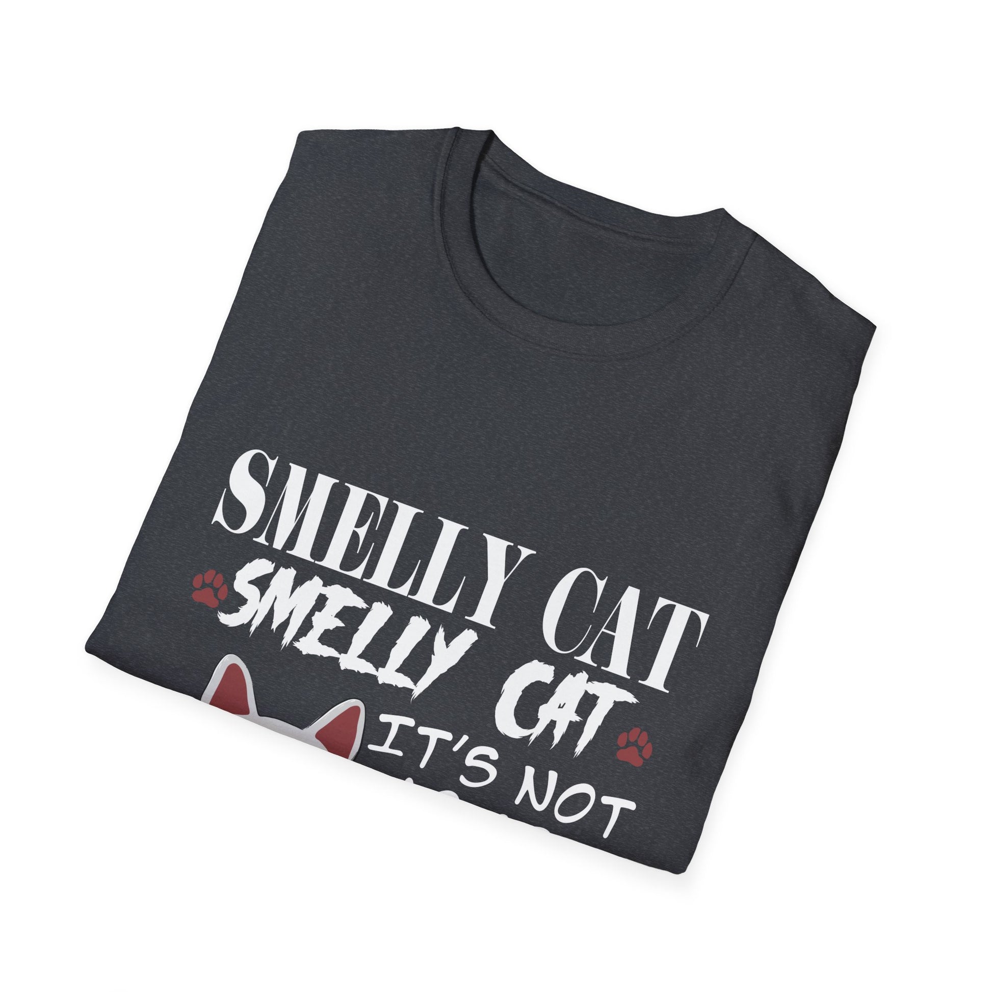 Smelly Cat It's Not Your Fault Friend Unisex Softstyle T-Shirt