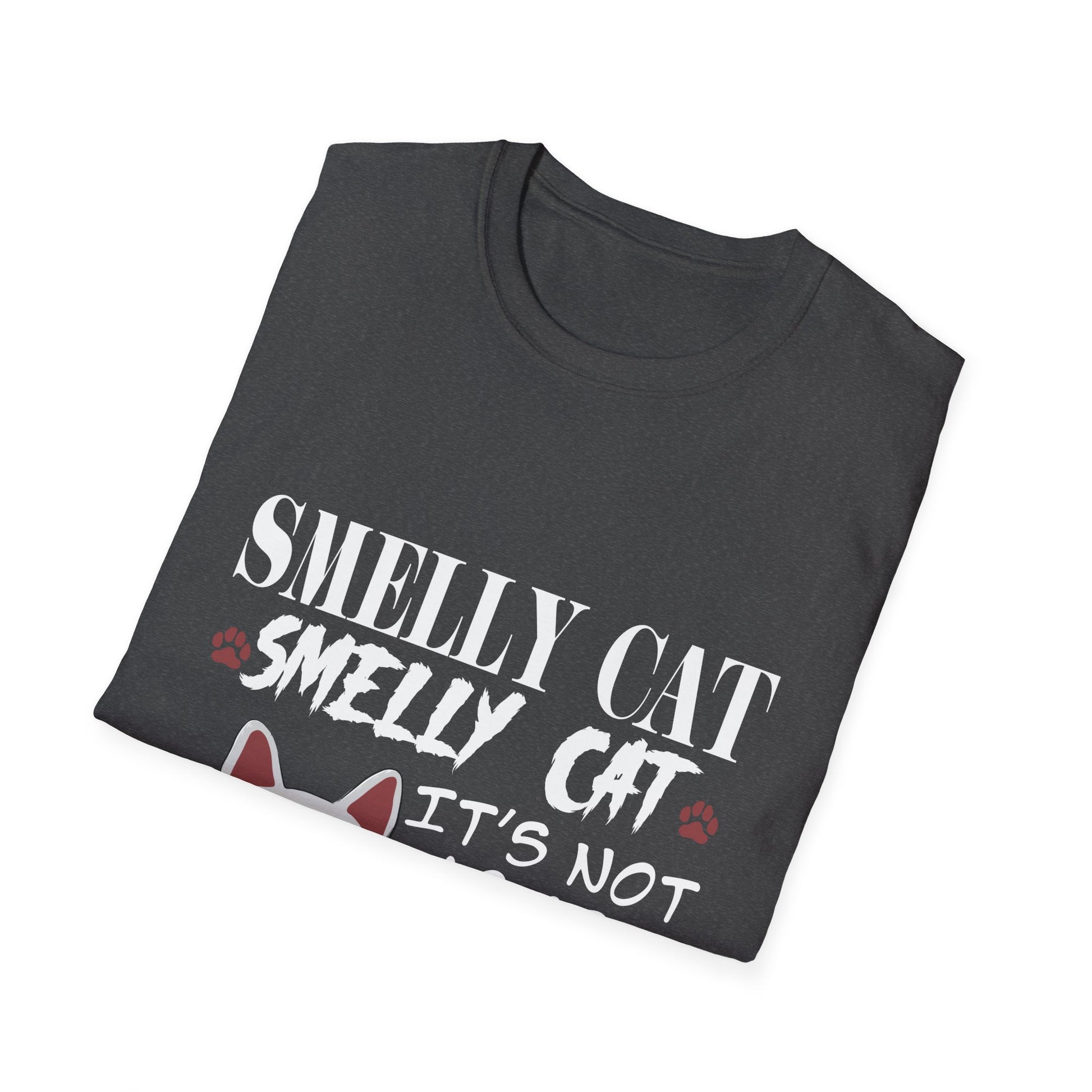Smelly Cat It's Not Your Fault Friend Unisex Softstyle T-Shirt