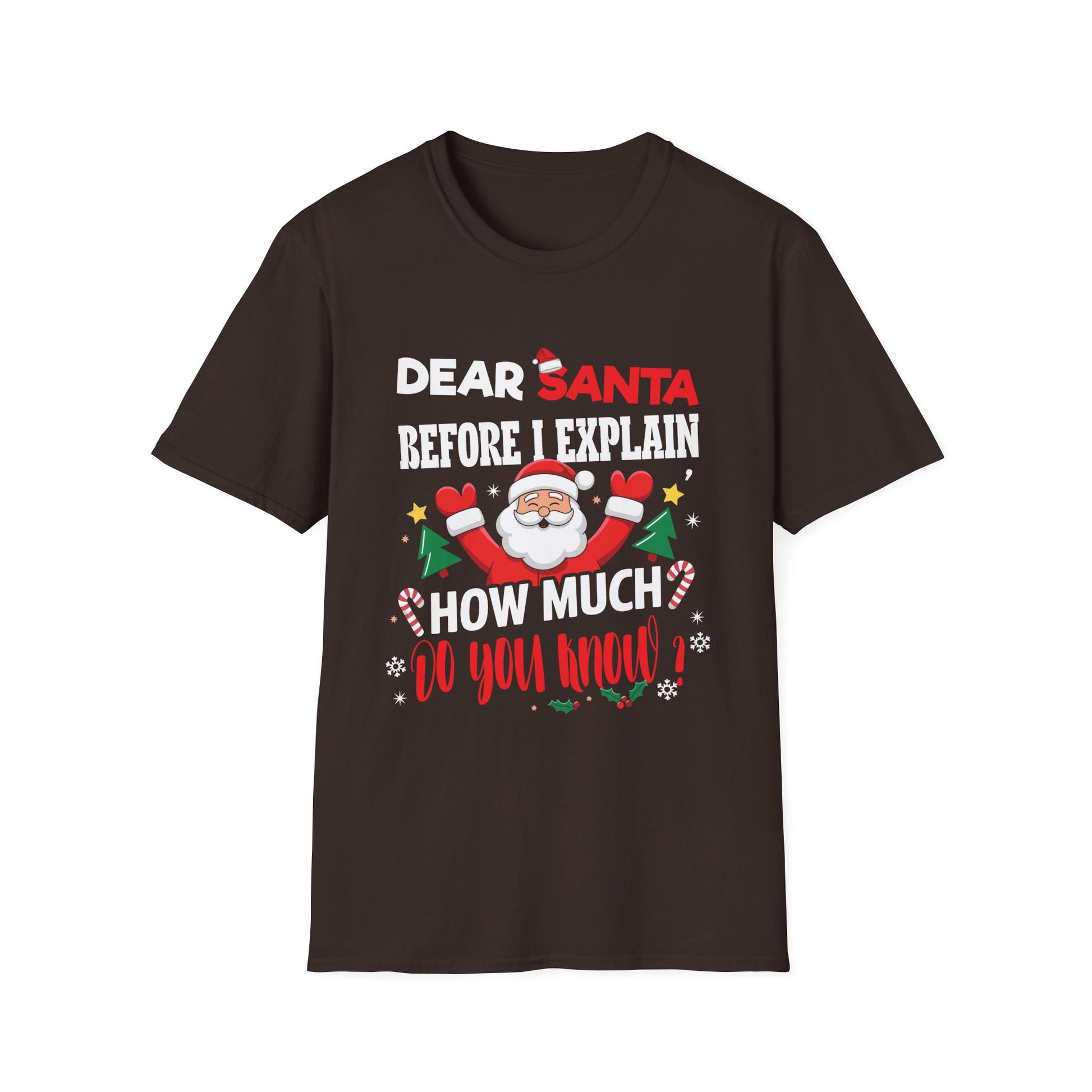 Christmas T-Shirt — “Dear Santa Before I Explain How Much Do You Know?” Funny Holiday Tee