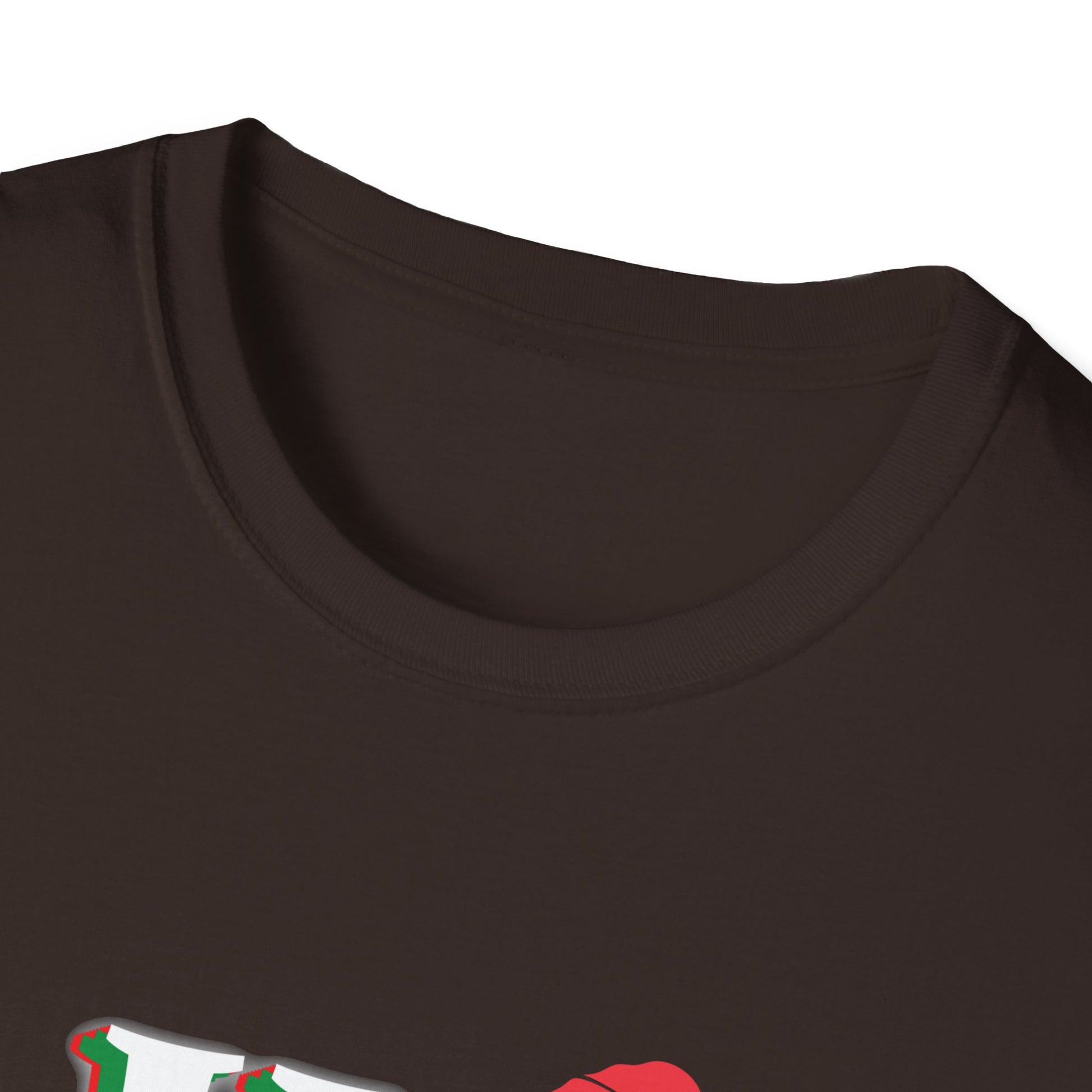 On The Naughty List And I Regret Nothing Funny XmasUnisex Softstyle T-Shirt