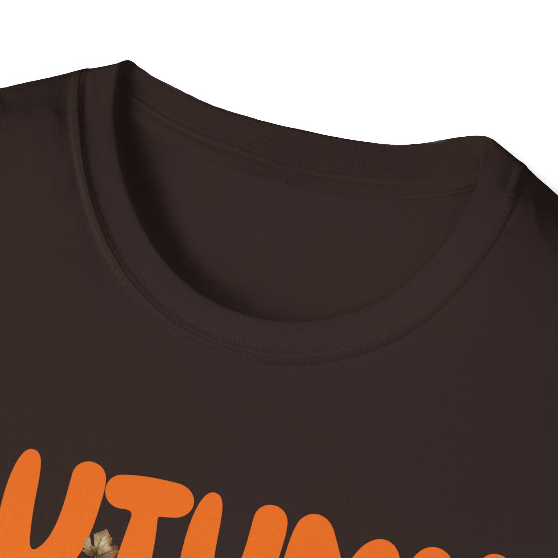 Autumn Leaves and Pumpkins Please T-Shirt