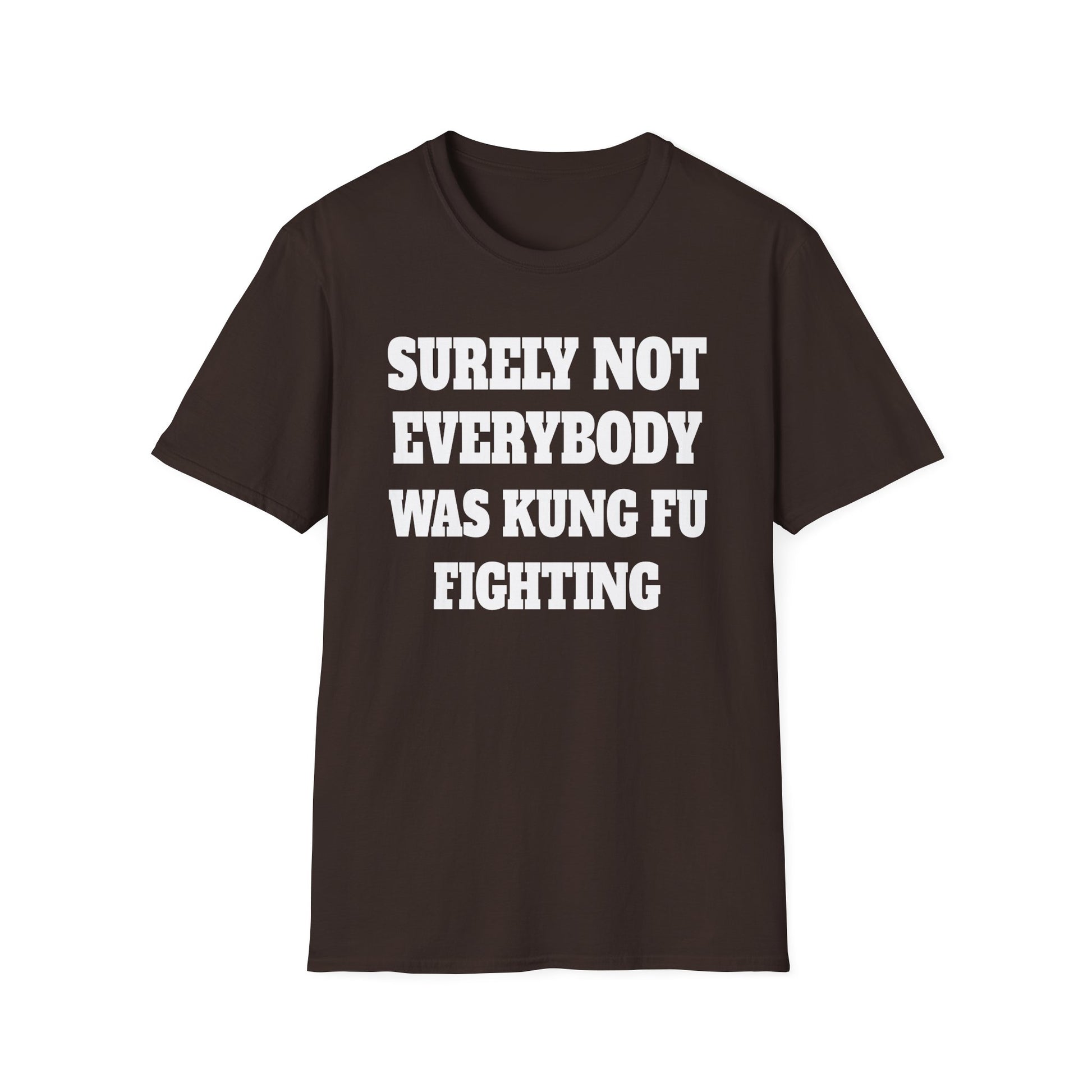 Kung Fu Funny Tee — "Surely Not Everybody Was Kung Fu Fighting" Graphic T-Shirt