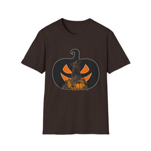 Halloween Black Cat for Cat Lover - Halloween Tee Unisex Softstyle T-Shirt