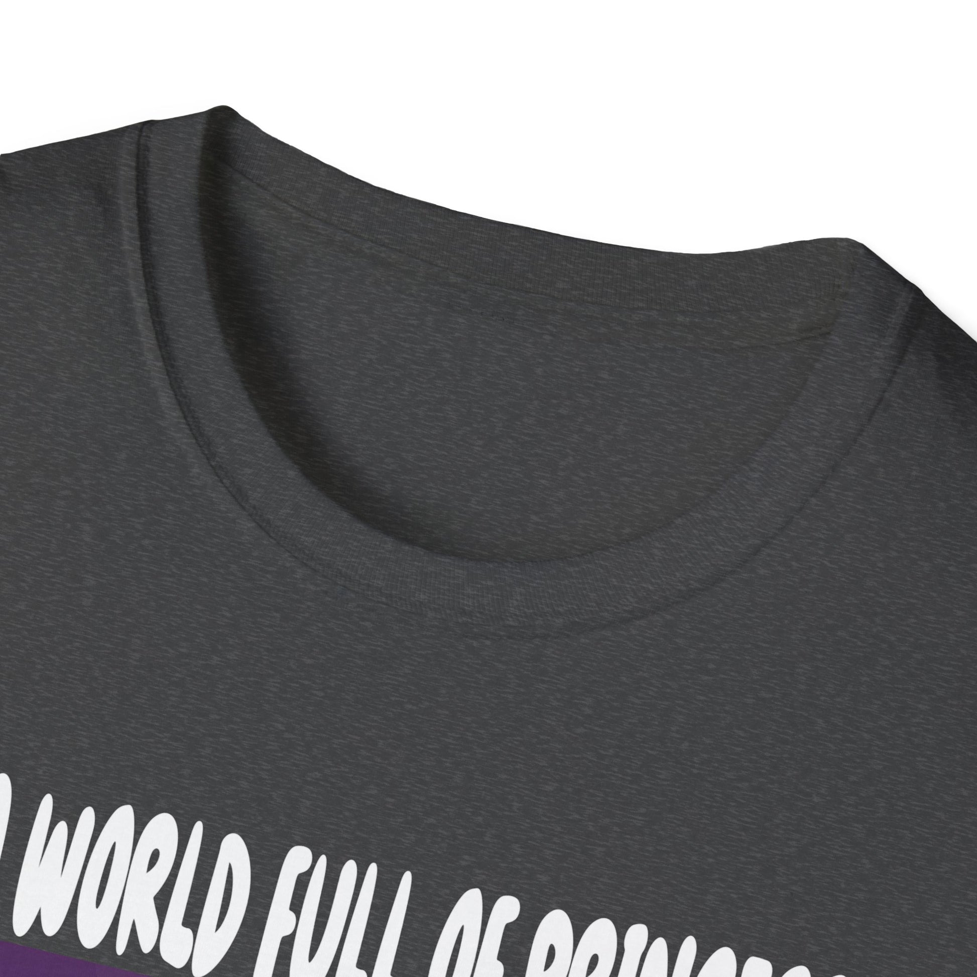 Spooky Queen T-Shirt — "In a World Full of Princess, Be a Spooky Queen" Halloween Tee
