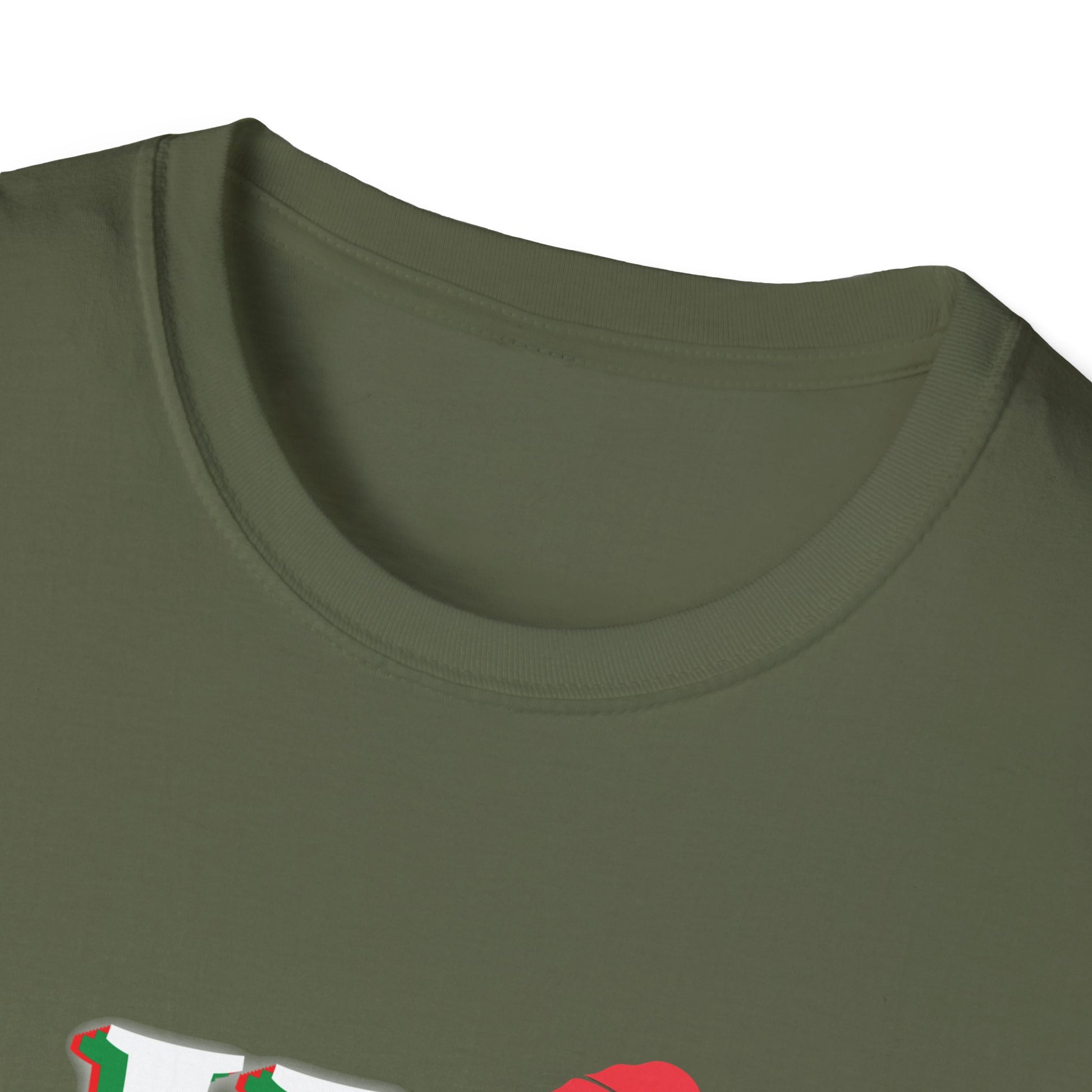 On The Naughty List And I Regret Nothing Funny XmasUnisex Softstyle T-Shirt