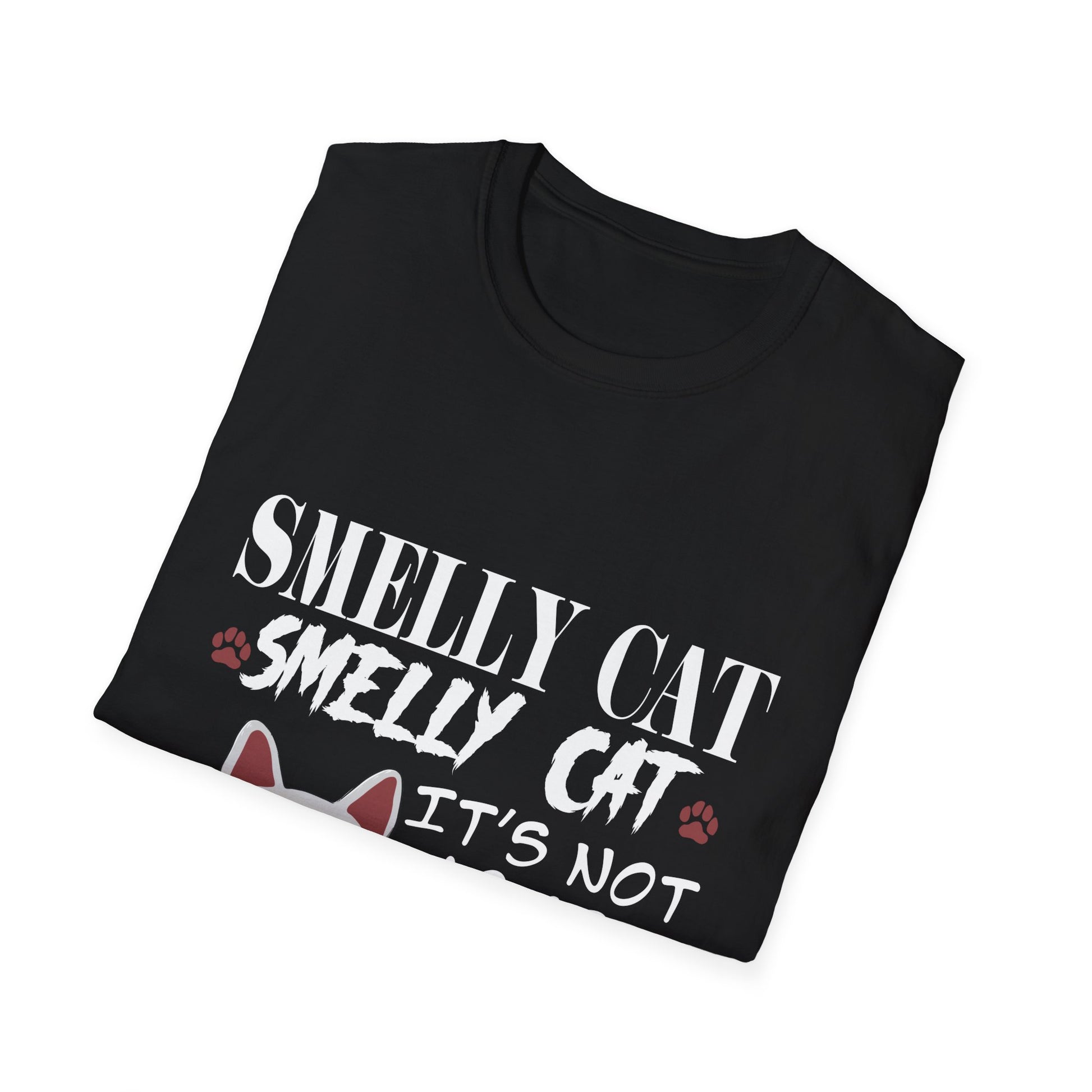 Smelly Cat It's Not Your Fault Friend Unisex Softstyle T-Shirt
