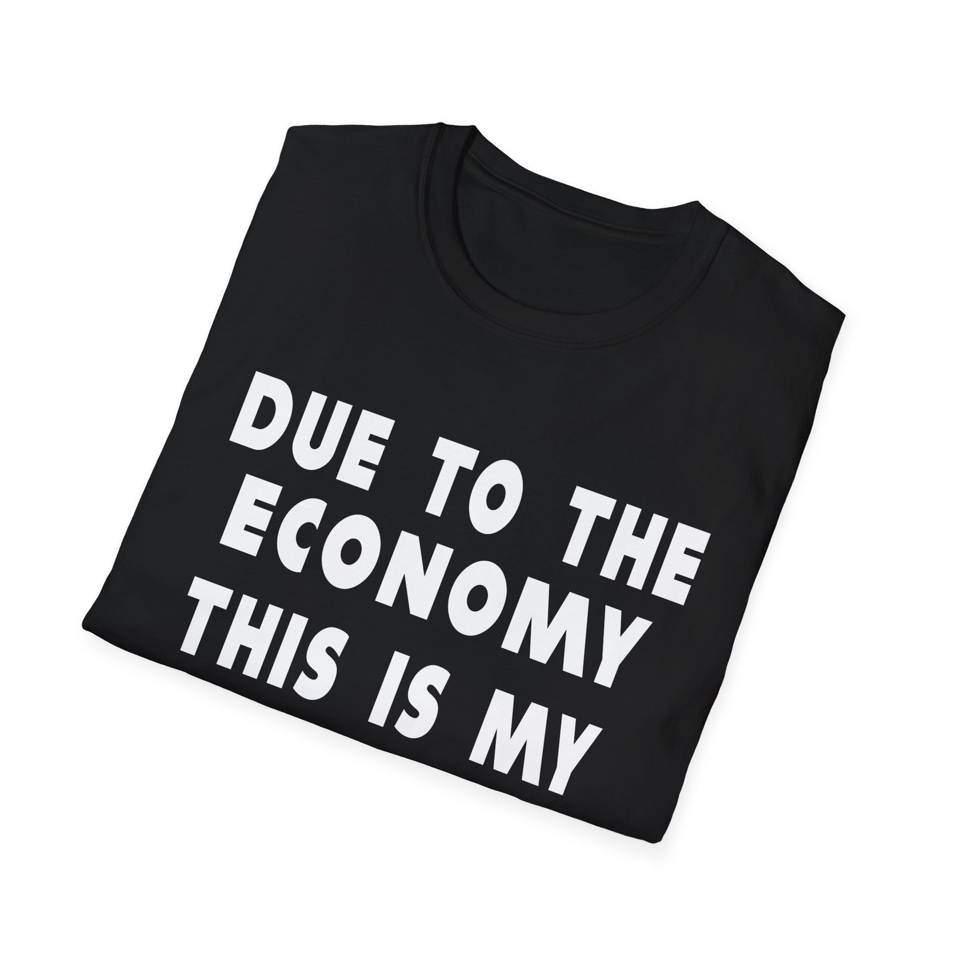 Halloween Costume T-Shirt - "Due to the Economy This Is My Halloween Costume" Funny Holiday Tee