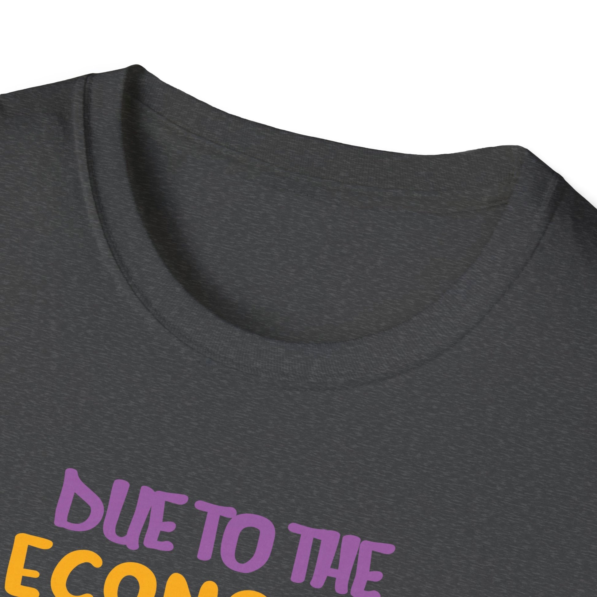Halloween T-Shirt — “Due to the Economy This Is My Halloween Costume” Pumpkin Witch Tee