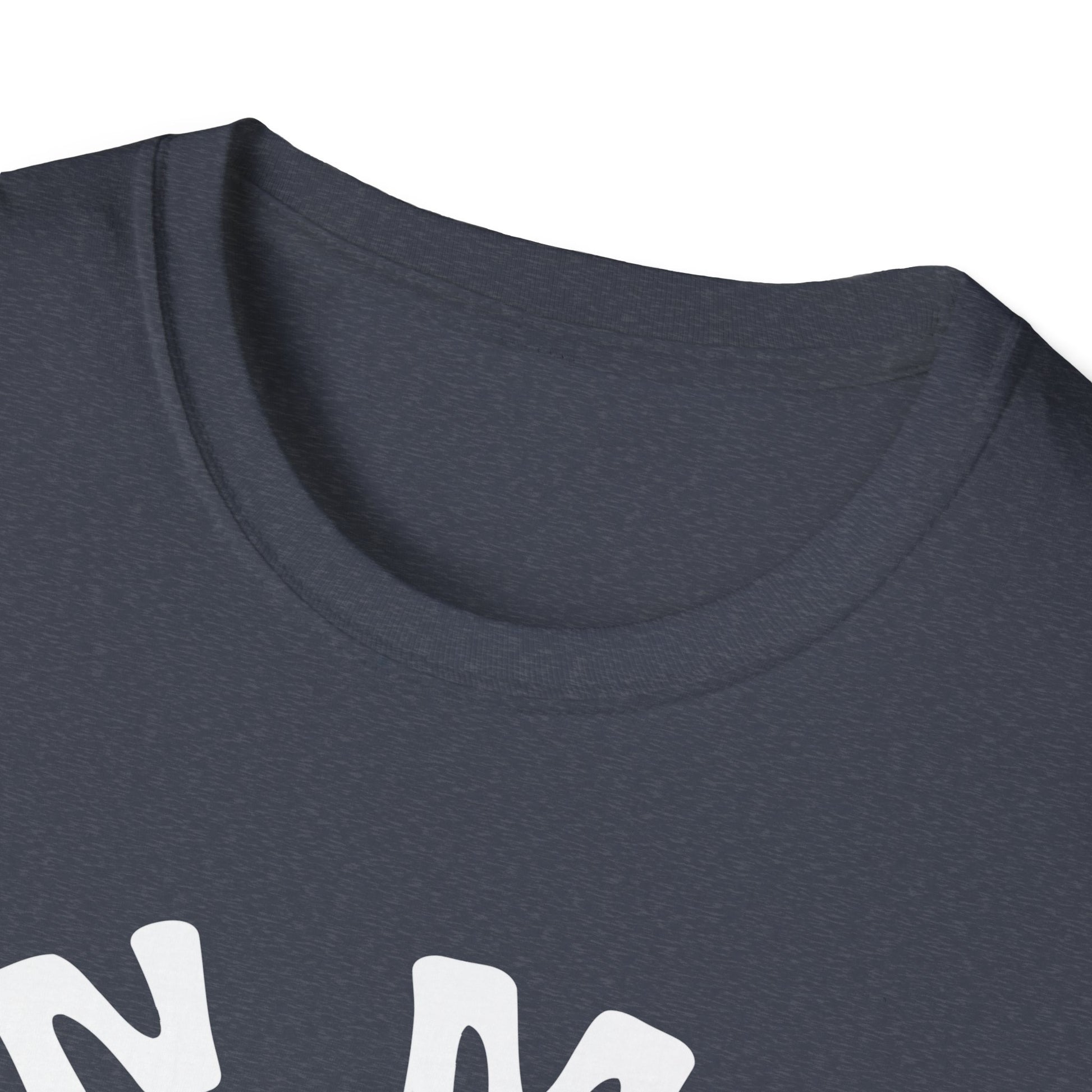 In My Detroit Football Era Unisex T-Shirt