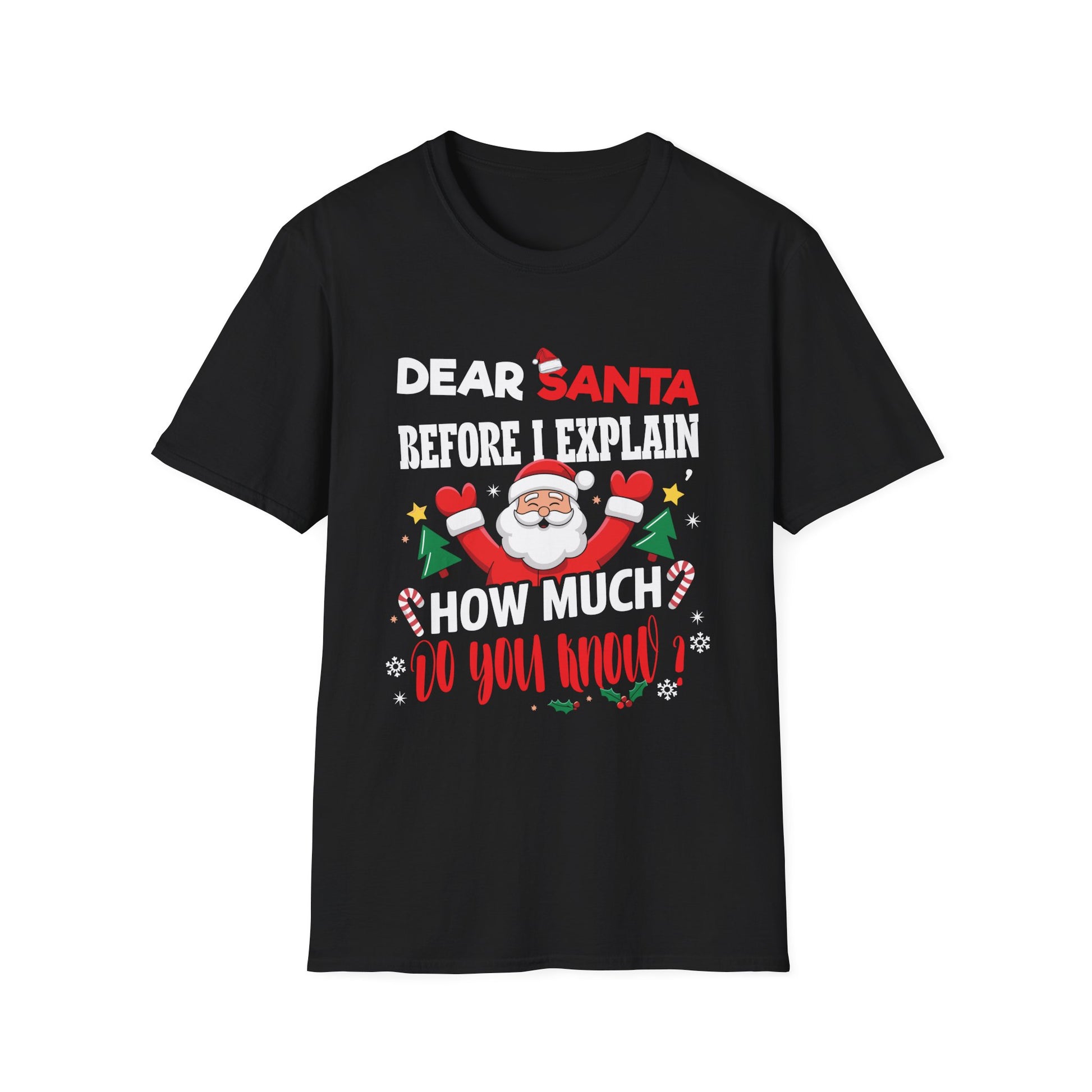 Christmas T-Shirt — “Dear Santa Before I Explain How Much Do You Know?” Funny Holiday Tee