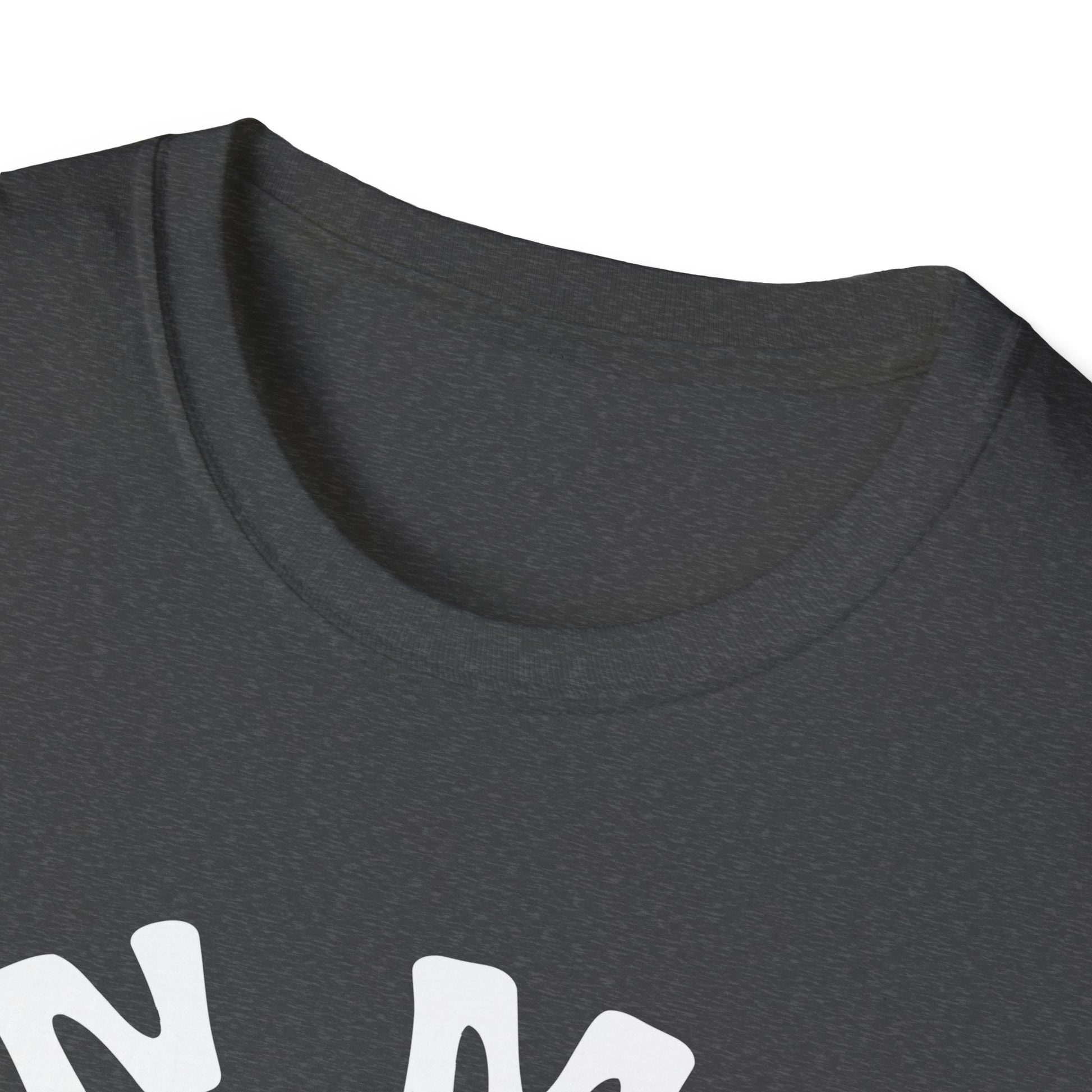 In My Detroit Football Era Unisex T-Shirt