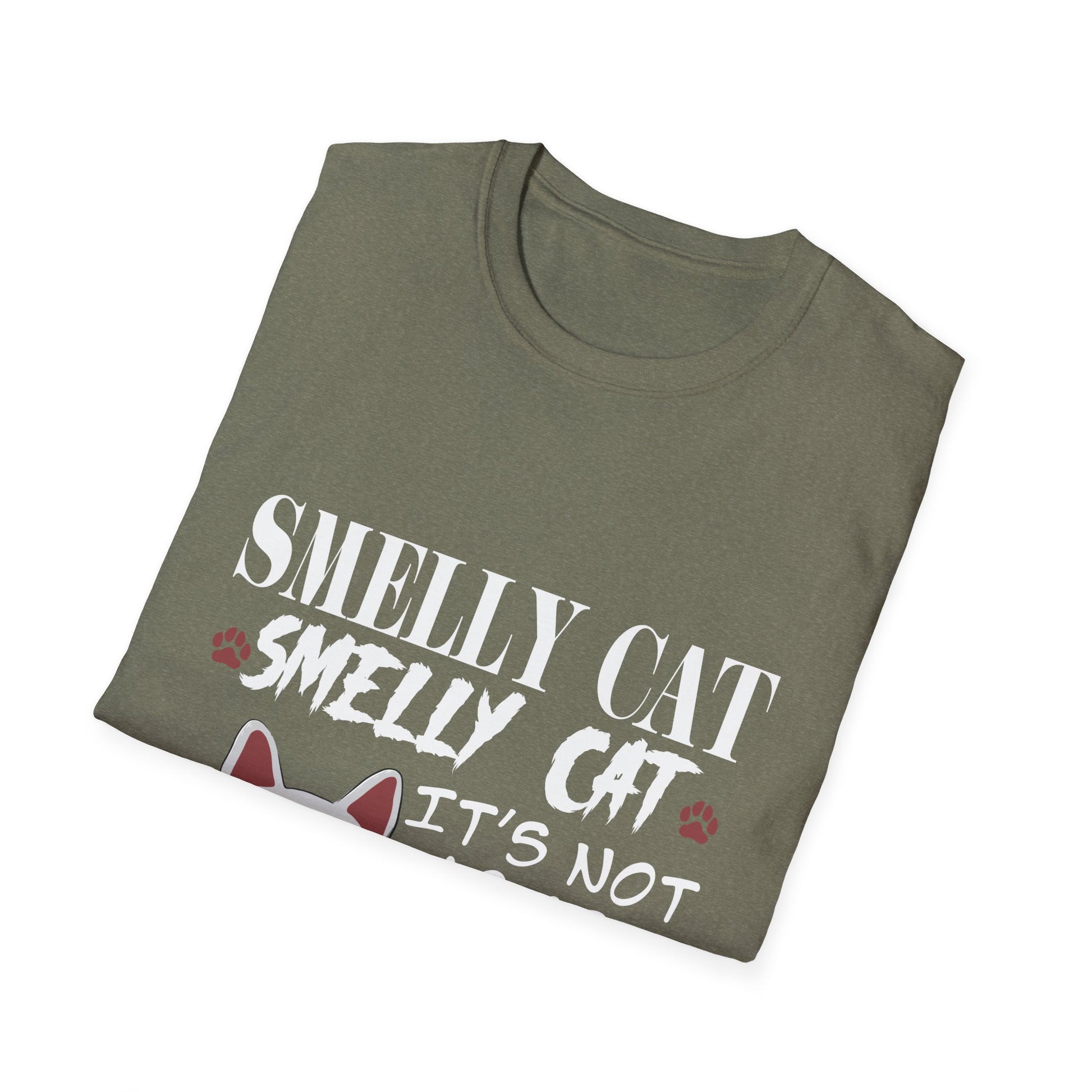 Smelly Cat It's Not Your Fault Friend Unisex Softstyle T-Shirt
