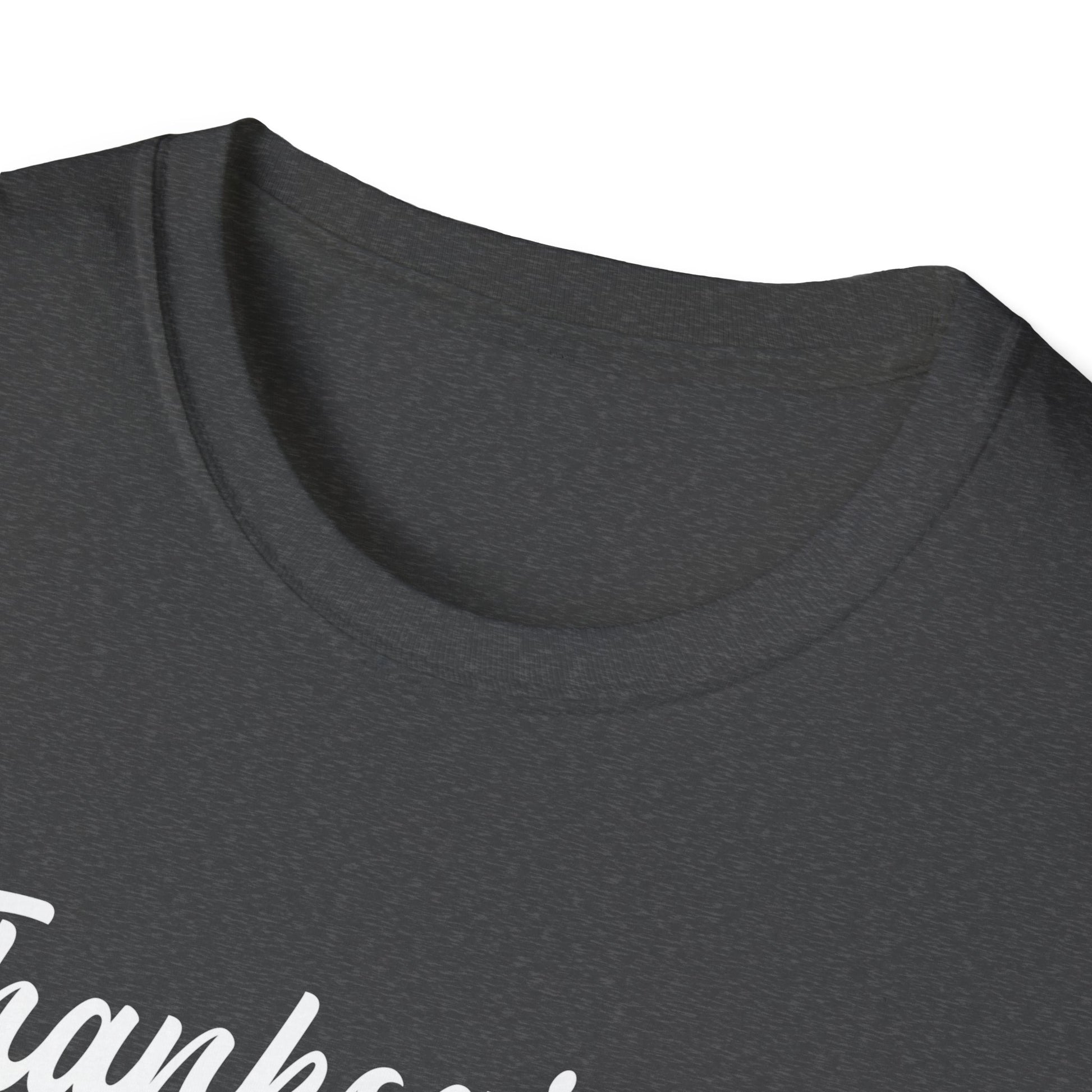 Thanksgiving T-Shirt — "Bringing Out the Best in Family Dysfunction Since 1627" Humorous Holiday Tee