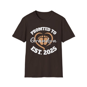 Promoted to Grandpa Est. 2025 T-Shirt — New Grandpa Announcement Tee