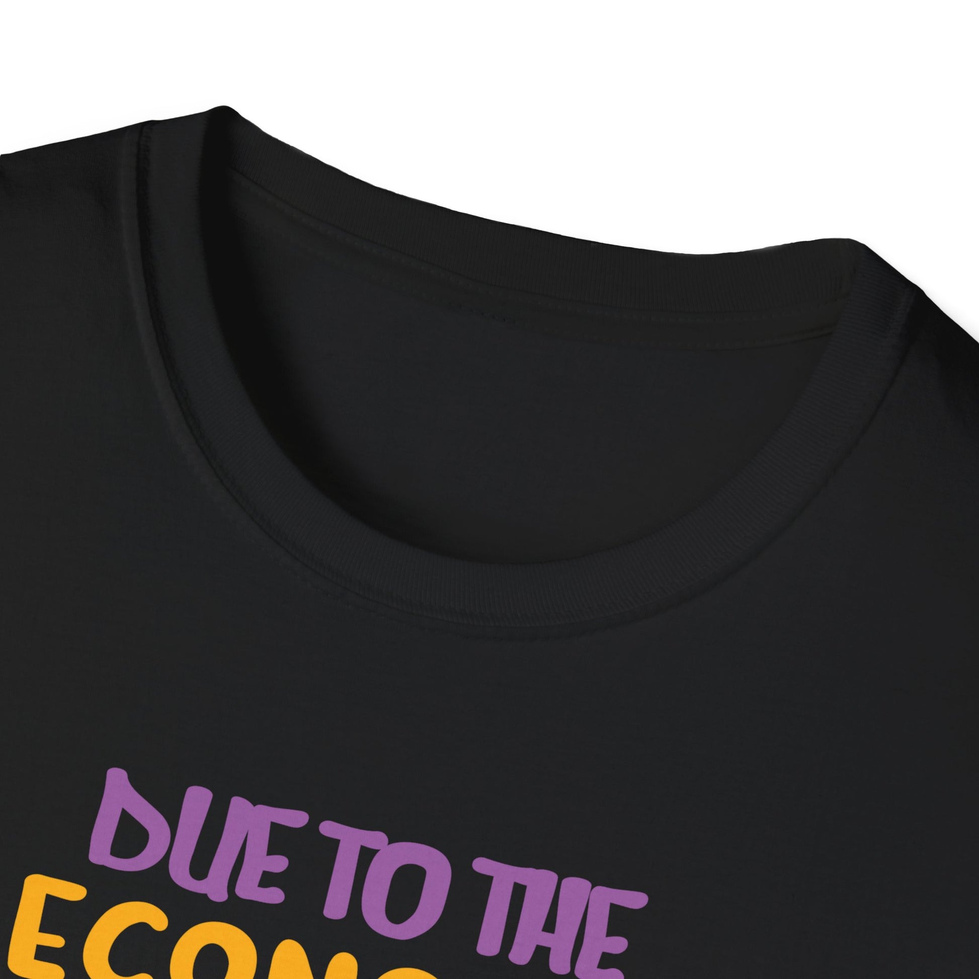 Halloween T-Shirt — “Due to the Economy This Is My Halloween Costume” Pumpkin Witch Tee